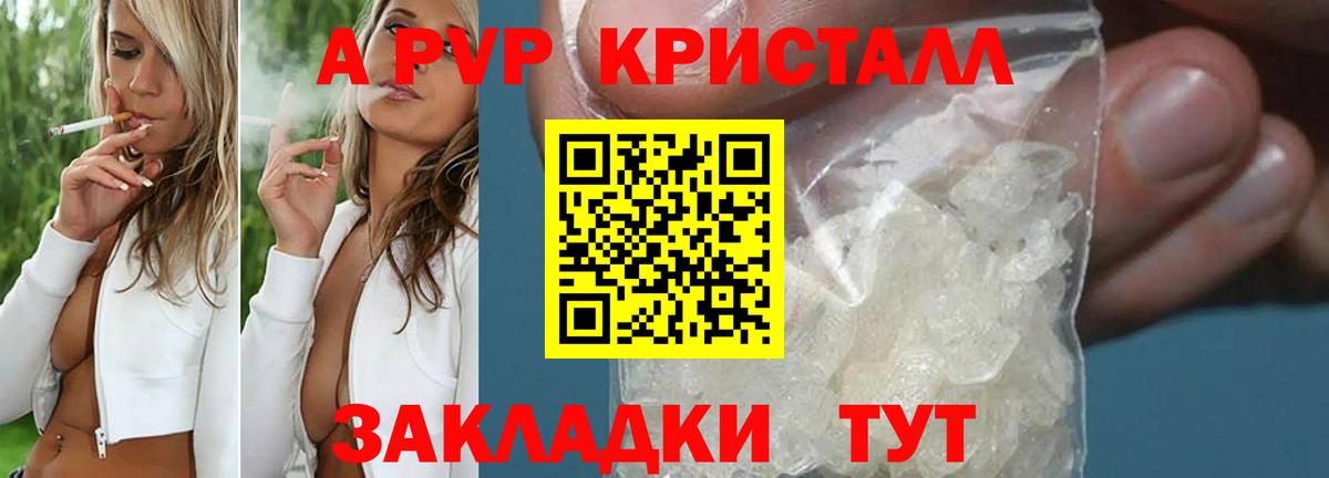 A PVP СК Новодвинск