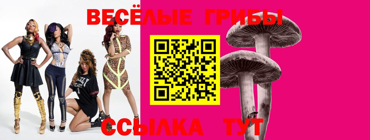 купить  цена  Вход с VPN  Новодвинск  Галлюциногенные грибы Magic Shrooms 